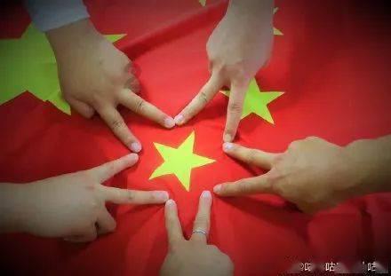 让动物飞一会